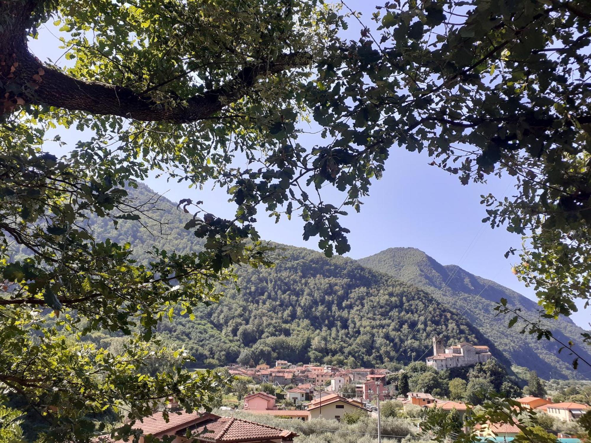 La Locanda Di Nonna Jolanda Daire Borgo a Mozzano Dış mekan fotoğraf